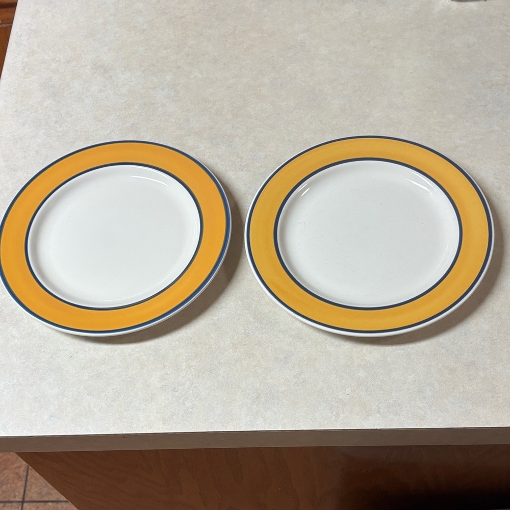 Set of 2 Nancy Calhoun Salad Plates